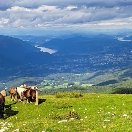 Direkter Seezugang Am Ossiacher See, Radfahren, Wandern & Erlebniscard Apartment *