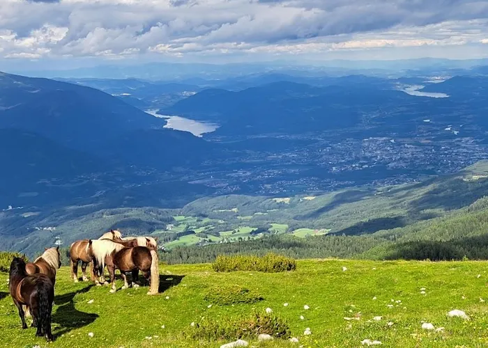 Sommertraum Am Ossiacher - Direkter Seezugang, Zentrumsnah Und Erlebniscard شقة *